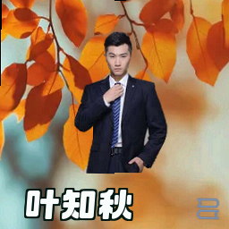 叶知秋